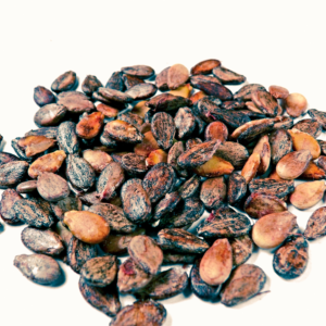 Roasted Watermelon Seeds - Image 3