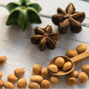 Sacha Inchi Nuts (Inca Nuts)